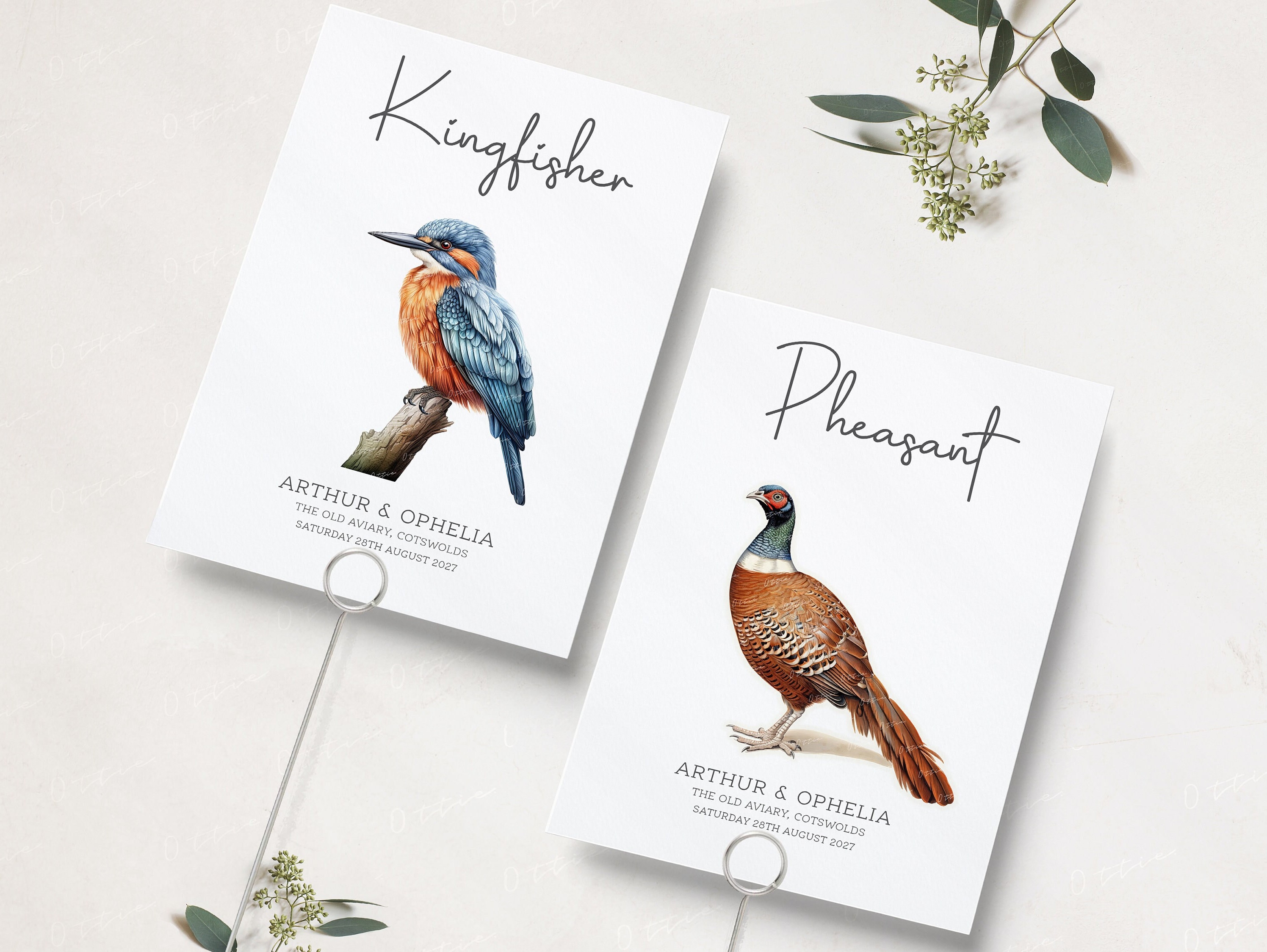 Bird Table Numbers For Wedding | Animal Table Names | Illustrated Wedding Table Cards | Wedding Table Numbers |Bird Theme Wedding  | PRINTED