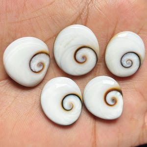 Shiva Eye Shell Top Grade Quality 100% Natural Cabochon Loose Gemstone For Making Jewelry