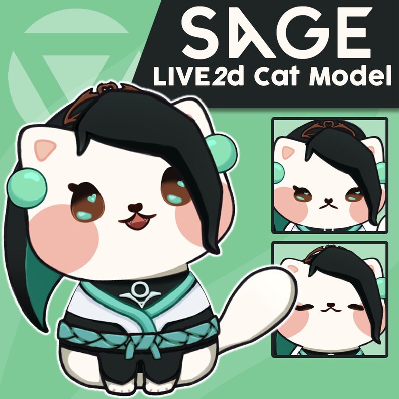 Valorant Sage LIVE2D Cat Vtuber Model/avatar Etsy
