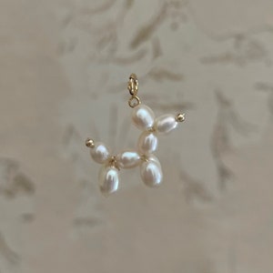 Puede incluir: Un dije colgante con forma de perro globo, elaborado con perlas blancas y metal dorado. El dije cuenta con un pequeño cierre para facilitar su fijación a un collar o pulsera. Las perlas son de forma ovalada y están dispuestas para asemejar un perro.