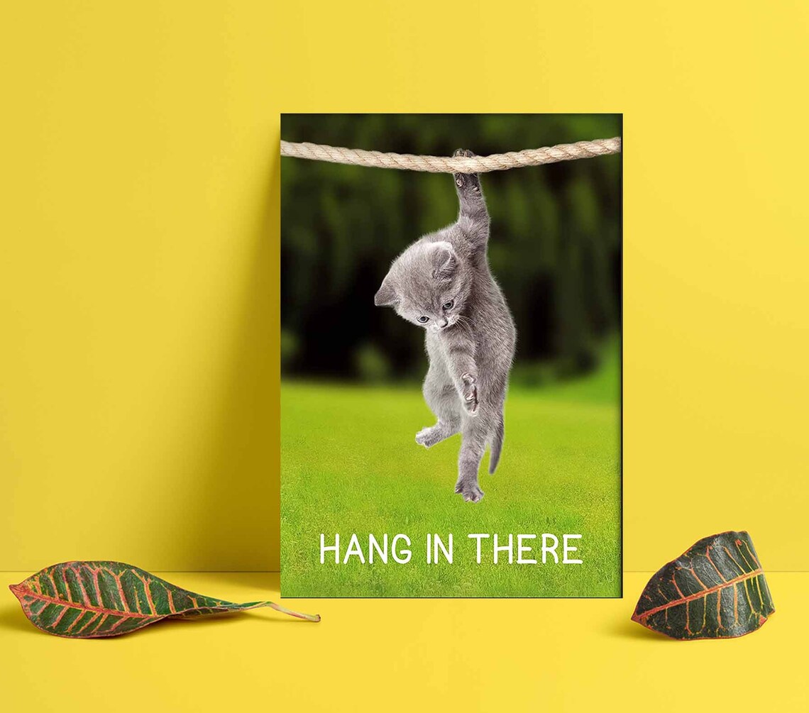 Hang in There Cat Poster Funny Cat Poster Etsy