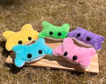 Gay Toads mini fluffy frogs
