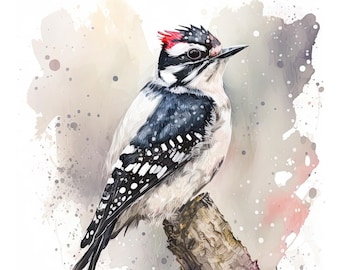 Woodpecker Watercolor Print Bird Downy Woodpecker Painting Her Giclee Gift Bird Wall Hanging Fine Art Wildlife Decor Bird Watcher Gift Art