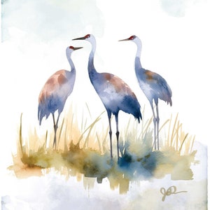 Sandhill Crane Art Watercolor Print Sandhill Cranes Painting Giclee Bird Wall Hanging Fine Art Wildlife Decor Bird Lover Gift Coastal Decor