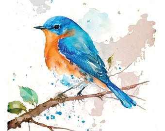 Bluebird Watercolor Print Bird Watercolor Painting Giclee Wall Hanging Fine Art Wildlife Decor Bird Watcher Gift Birder Eastern Bluebird