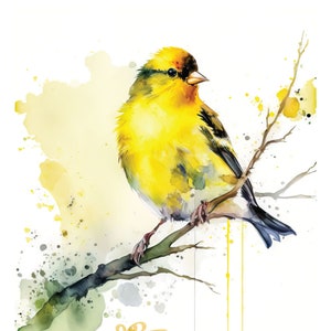Goldfinch Watercolor Print Bird American Goldfinch Painting Giclee Gift Bird Wall Hanging Fine Art Wildlife Decor Bird Watcher Gift Art