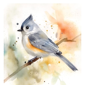 Tufted Titmouse Wall Art, Bird Watcher Watercolor Painting, Framed Giclee Print, Gift For Her, Backyard Birding Mothers Day Wildlife Decor