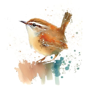 Wren Watercolor Print Bird Painting Giclee Gift For Her Wall Hanging Fine Art Wildlife Decor Bird Watcher Gift Birder Gift Carolina Wren