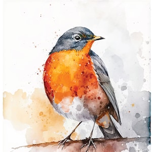 Weekend Robin Art Print Wall Art Painting Bird Irish 