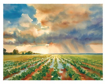 Mississippi Delta Cotton Field Watercolor Print, Southern Landscape Wall Art, Sunrise Rainstorm Fine Art, Farm Field Painting, Rustic Gift