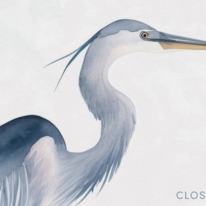 Blue Heron, Blue Heron Art, Blue Heron Print, Bird Decor, Bird Wall Art, Watercolor Bird Art, Bird Art, Coast Lake Marsh, Decor Bird Lover Gift