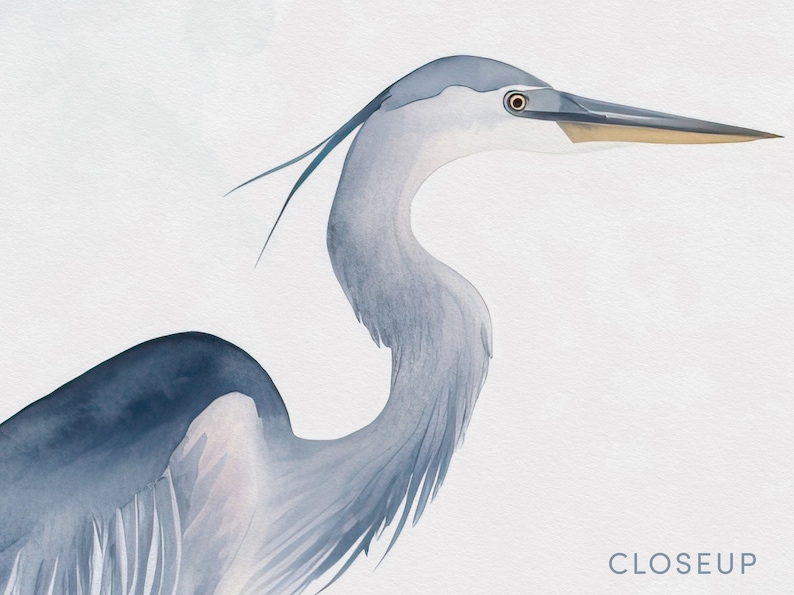 Blue Heron, Blue Heron Art, Blue Heron Print, Bird Decor, Bird Wall Art, Watercolor Bird Art, Bird Art, Coast Lake Marsh, Decor Bird Lover Gift