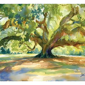 Live Oak Art, Oak Tree Painting, Charleston Print, South Carolina Watercolor, Tree Wall Art, Spanish Moss, Charleston Decor, Gift For Her