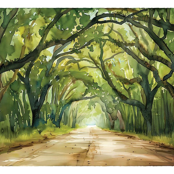 Edisto Island Watercolor, Lowcountry Wall Art, Charleston Print, Coastal Decor Gift, Botany Bay Plantation South Carolina, Live Oak Painting