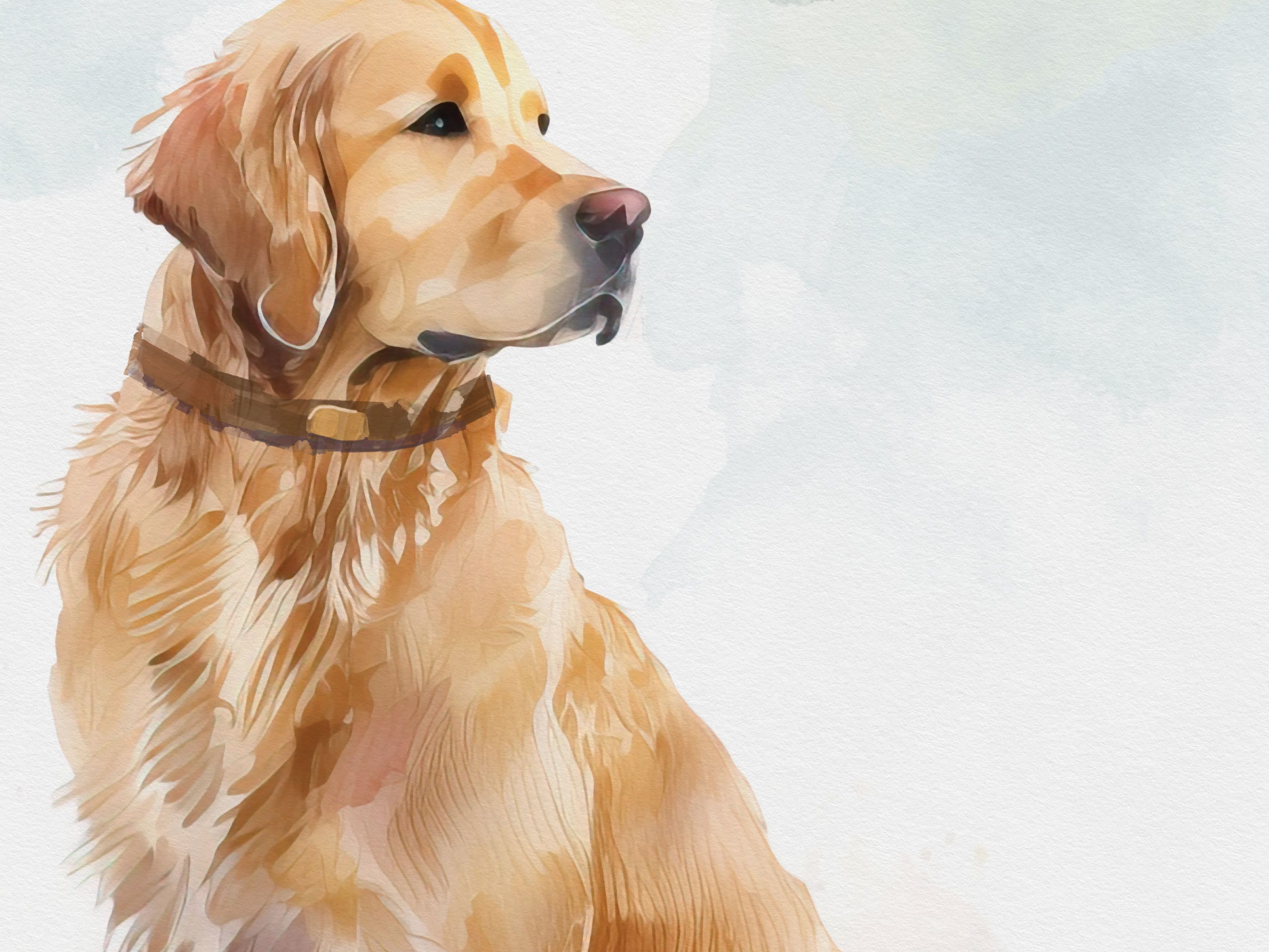 Golden Retriever Watercolor Print Dog Painting Golden Wall Hanging Fine ...