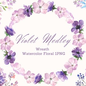 Aquarel Violette paarse bloemen, Violette paarse bloemen illustraties, roze paarse bloem Png, uitnodigingskaart illustraties, paarse bloem krans PNG