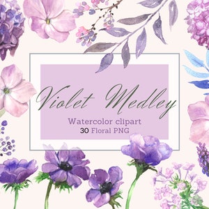 Watercolor Violet Purple Flowers, Purple Pink Blush Flowers Clip Art, Wild flower PNG Set, Scrapbooking and Invitation, Botanical  Clip Art