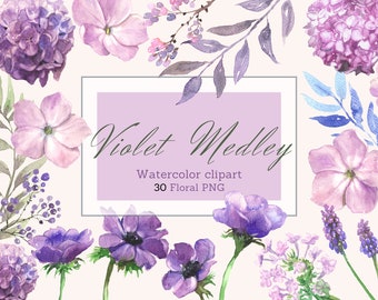 Watercolor Violet Flower Clipart: Purple Wildflower PNG Set, Digital Download