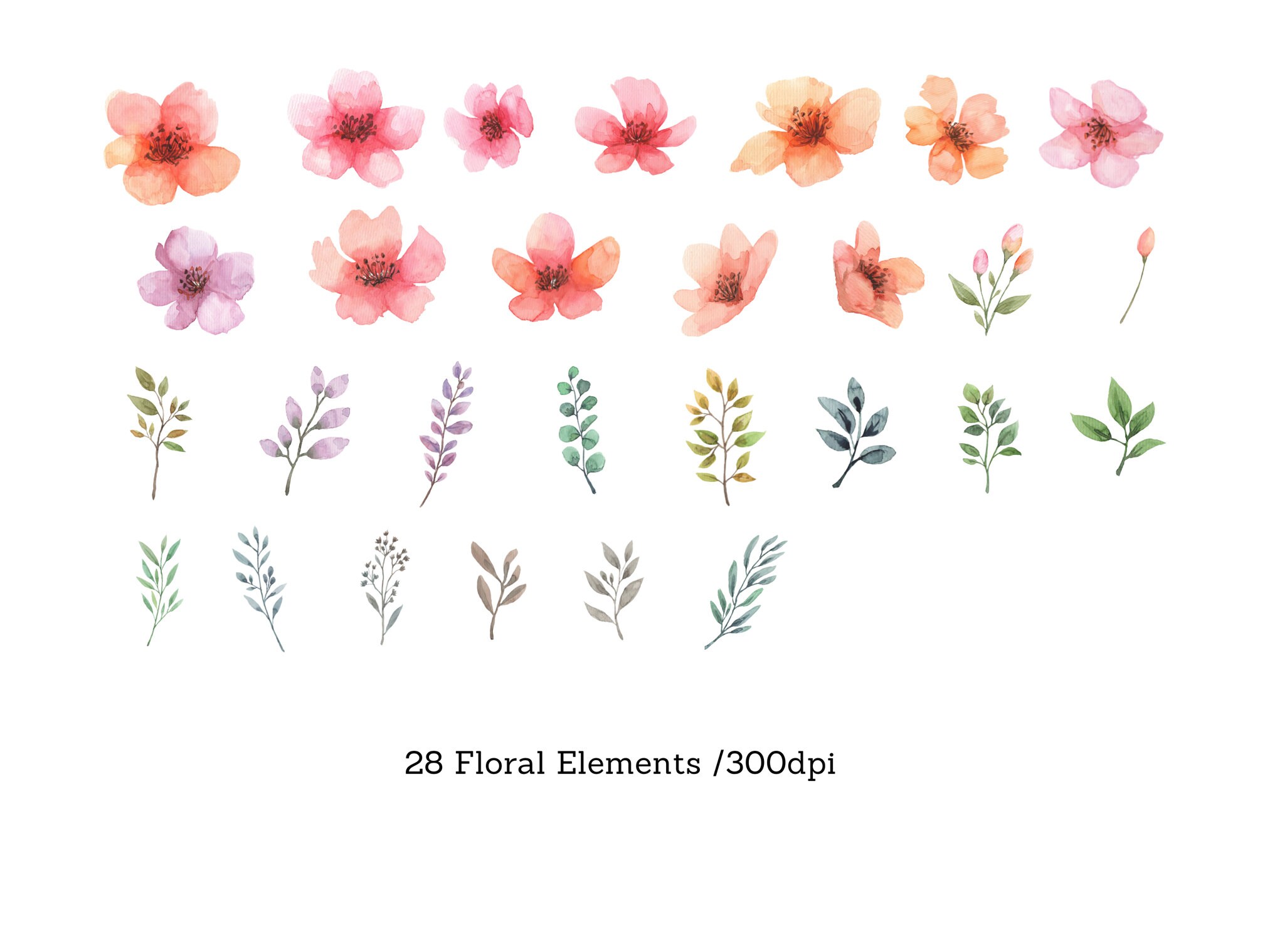 Watercolor Pink Blush Flower Clipart Coral Pink Floral - Etsy