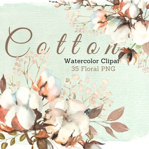 Watercolor Winter Floral Clipart Cotton Flower Clipart Watercolor