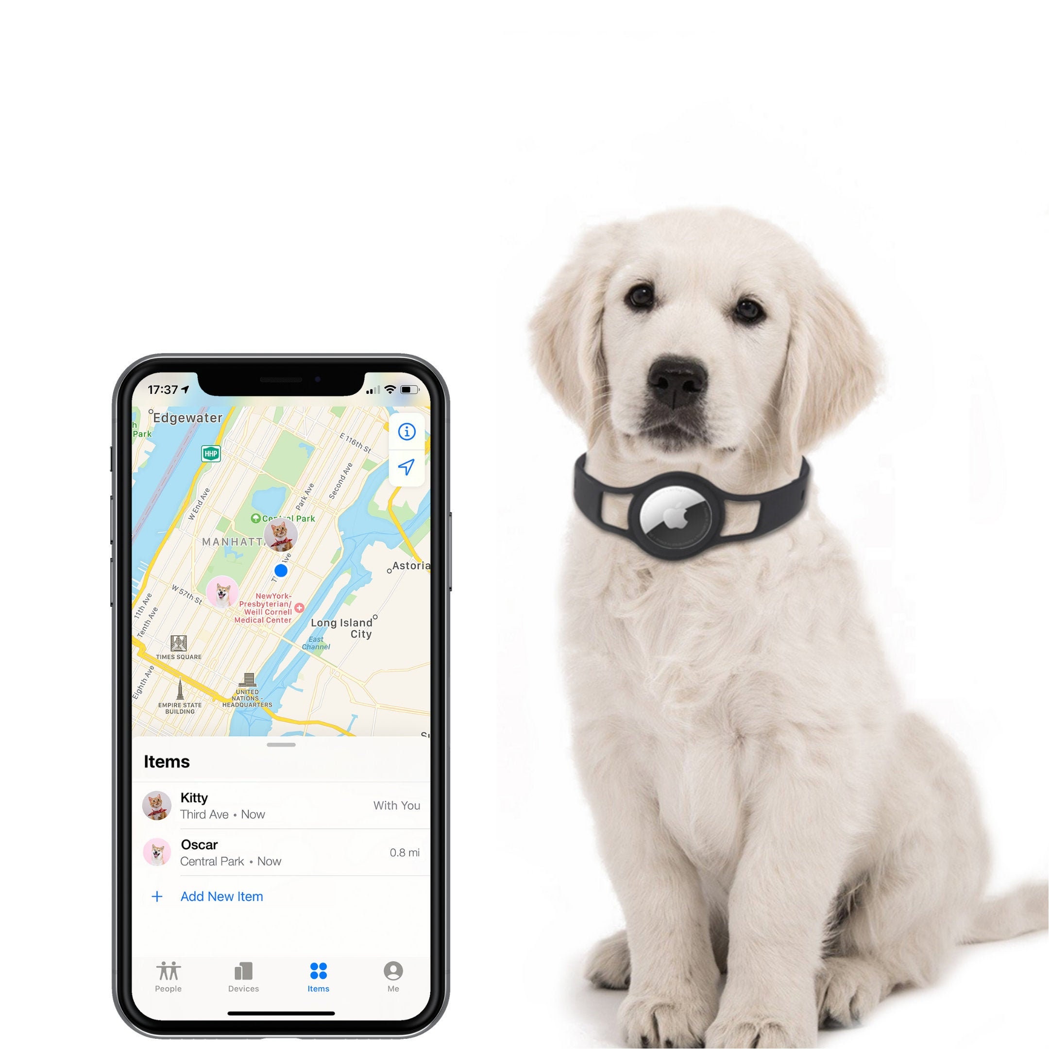 Airtag Pet Collar for Dogs and Cats 1 Petfindair Etsy UK