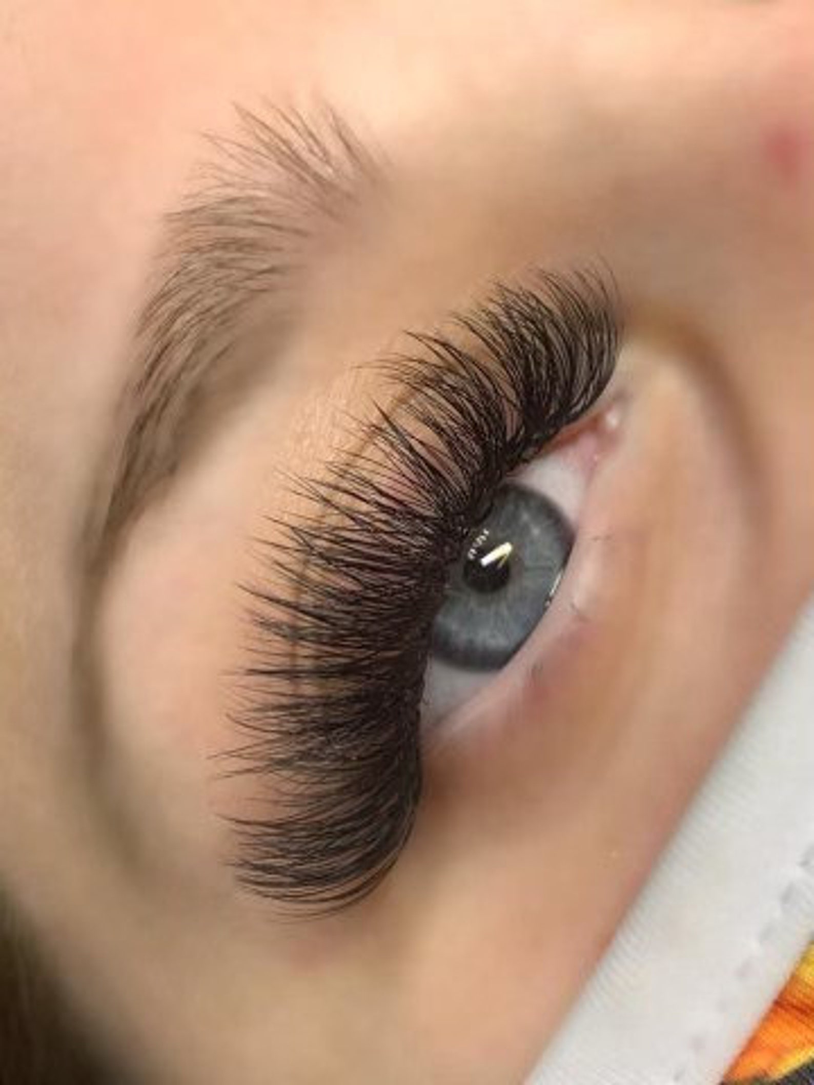 1000 Fans 7D 0.07 10D 0.05 Curl Eyelash extension Etsy