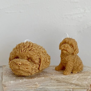 Teddy Dog Candle, Poodle Candle, Cute Bichon Candle, Puppy Candle, Pet Lovers, Dog Lovers, Cute Puppy Shaped Candle, Dog Mom, Home Decor