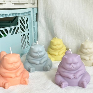 Può includere: Quattro candele a forma di gatto in diversi colori: azzurro, pesca, giallo e lavanda. Le candele sono tutte in posizione di sonno con le zampe ripiegate sotto il mento.