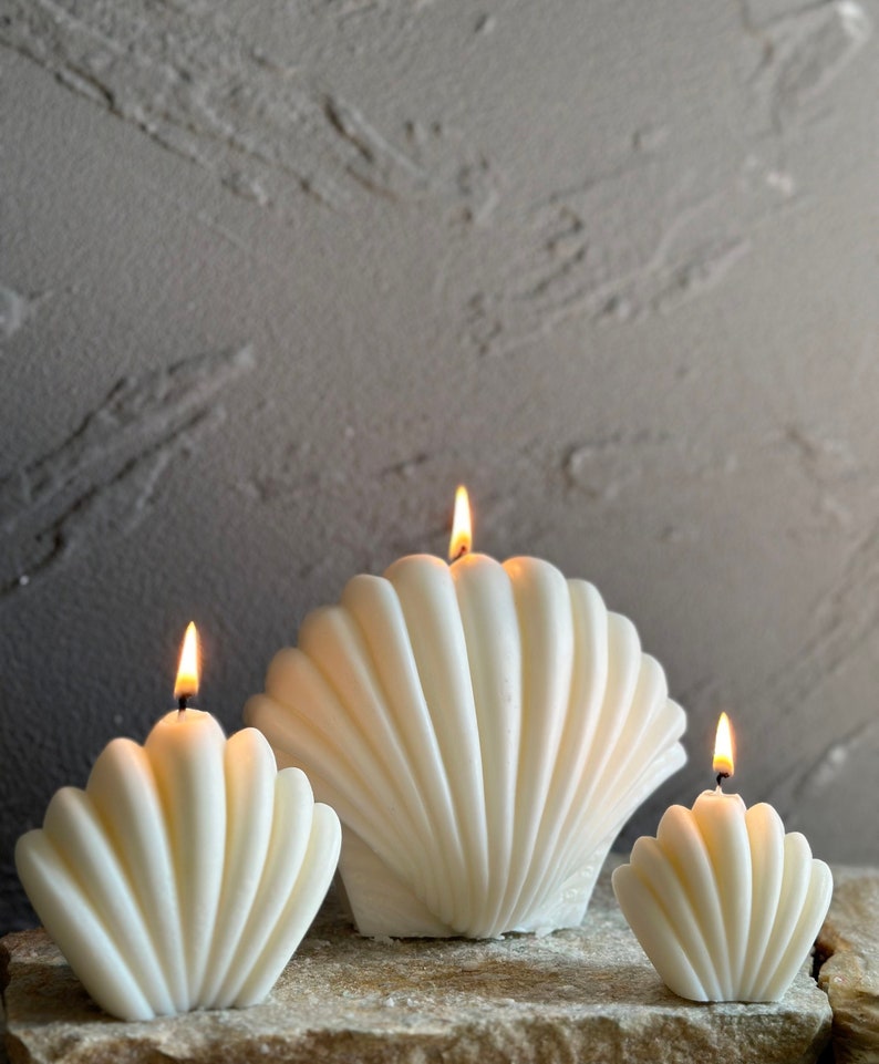 Seashell Candle: Decorative Soy Wax, Beach Home Decor - Etsy