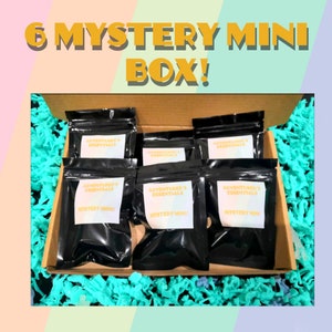 Pode incluir: Seis bolsas pretas com z&iacute;per com etiquetas brancas que dizem "Adventurer's Essentials" e "Mystery Mini!"  As bolsas est&atilde;o em uma caixa de papel&atilde;o forrada com pl&aacute;stico turquesa.