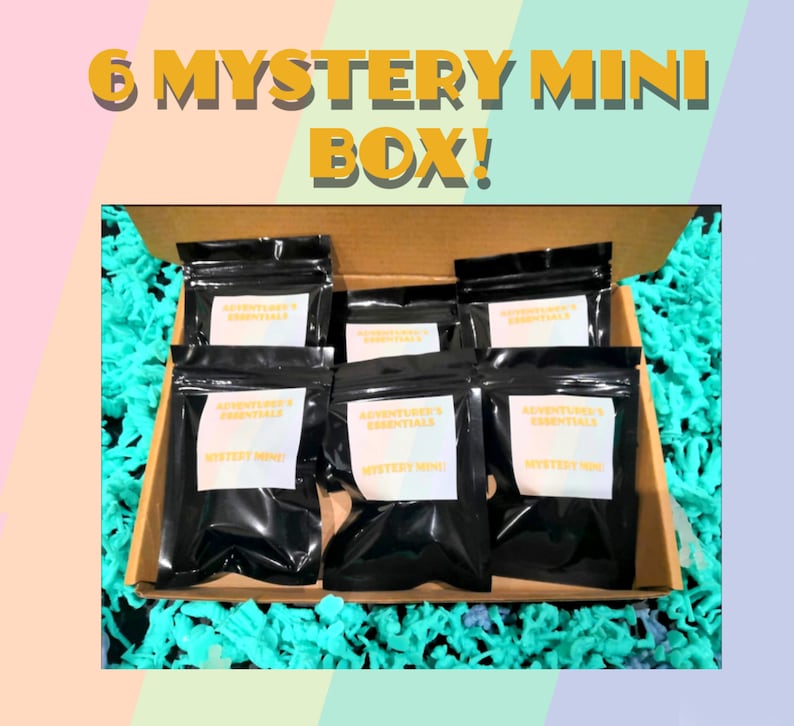 Pode incluir: Seis bolsas pretas com z&iacute;per com etiquetas brancas que dizem "Adventurer's Essentials" e "Mystery Mini!"  As bolsas est&atilde;o em uma caixa de papel&atilde;o forrada com pl&aacute;stico turquesa.