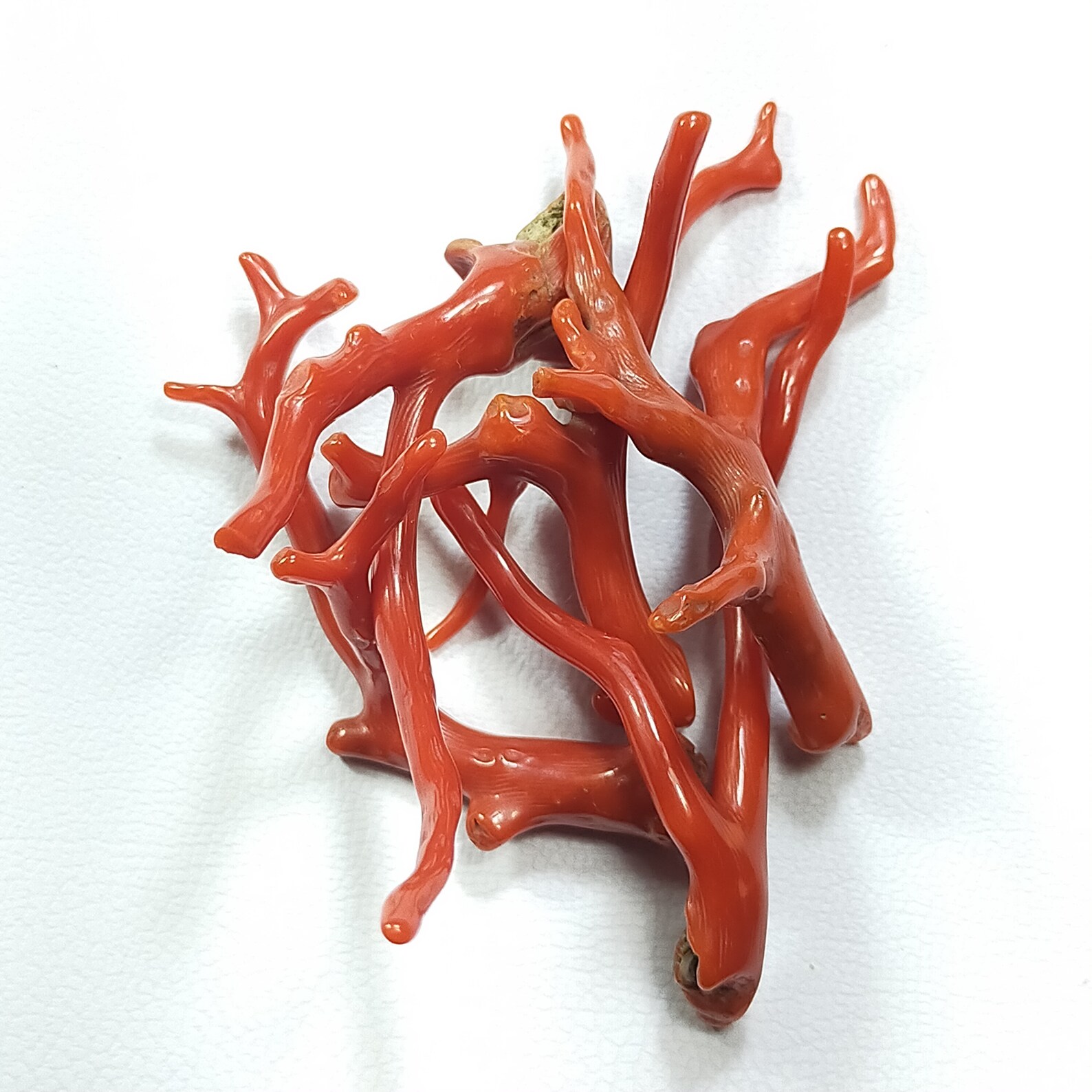 100 Natural Italian Red Coral Gemstone Loose Branch Polished Etsy