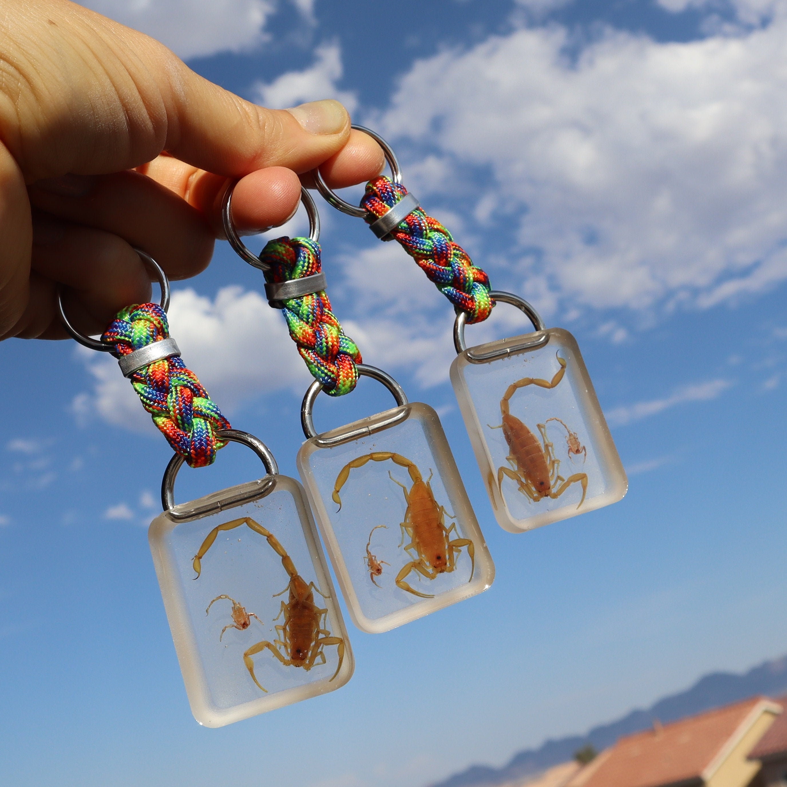 Keychains With Real Scorpion & Baby Scorpions Handmade Etsy