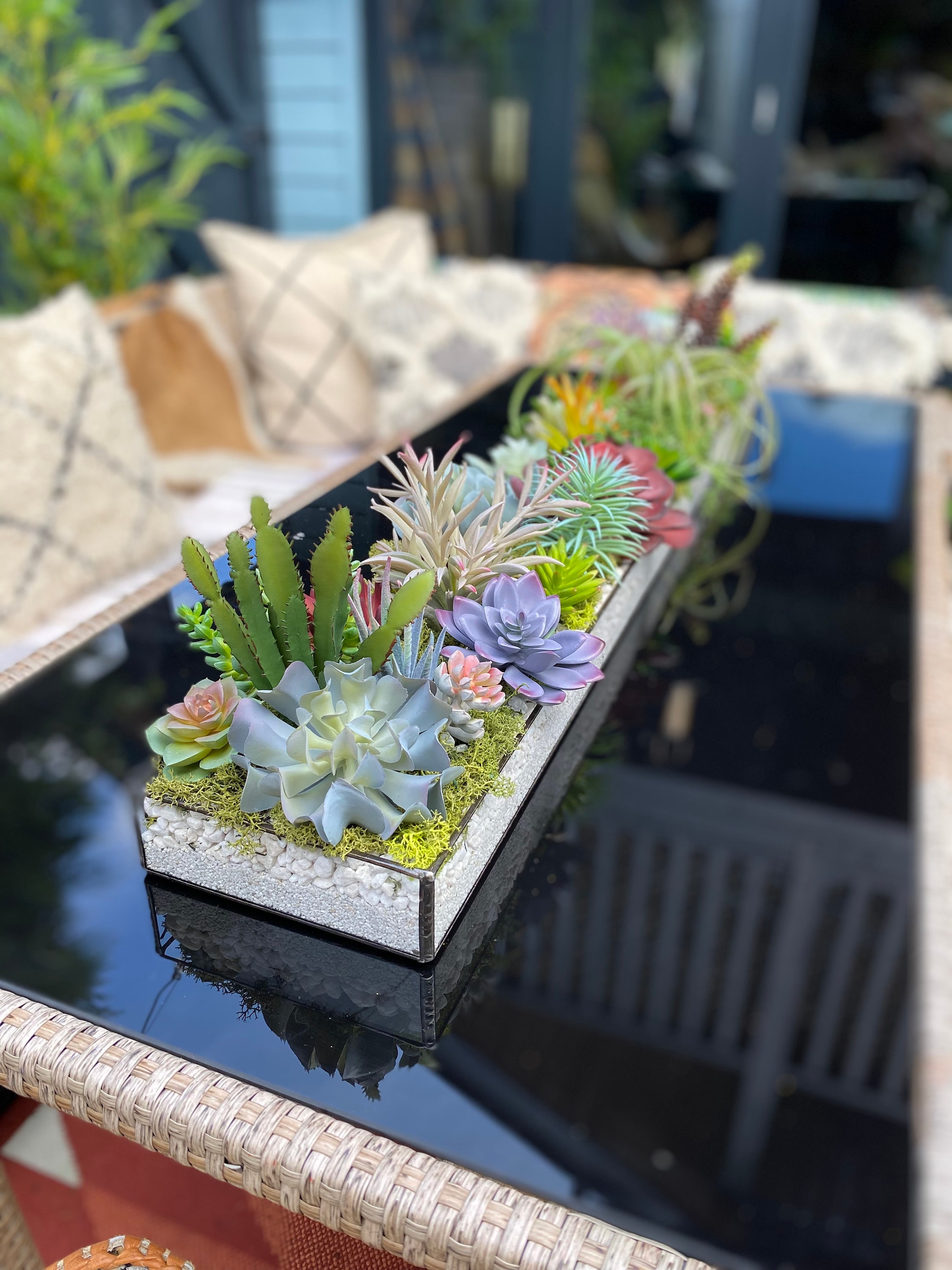 Faux Succulents Display Etsy