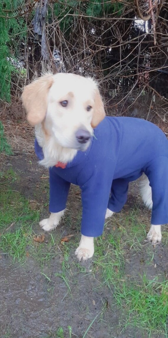 Full Body Polar Fleece Dog Suit Wih a Cute Tartan Bow. Custom Etsy UK