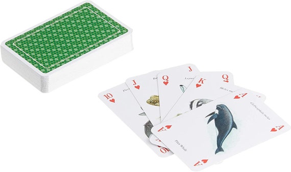 Jolly Jong Birds 🕹️ Gioca Gratis Su Play123 - Foto 9