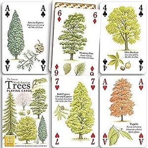 Nordamerikanische Bäume Standardset mit 52 Spielkarten + Jokers