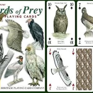 Birds of Prey standard set of 52 Playing Cards + Jokers