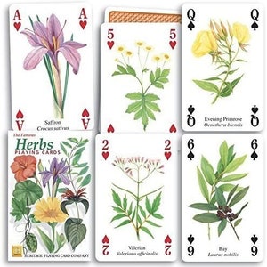 Conjunto padrão de ervas com 52 cartas de baralho + coringas