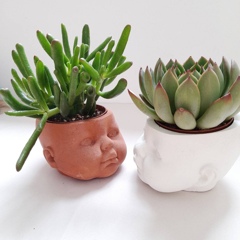 Concrete Dolls Head Planter (Grey, White, Terracotta, Black)