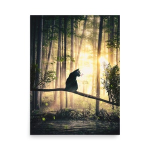 Cat, Sun and Forest Artwork Print