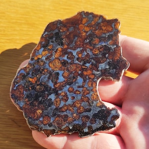 Sericho Pallasite Meteoriet Plak met epoxy - 78.37g