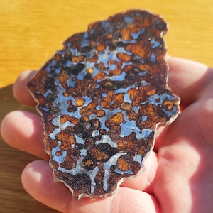 Sericho Pallasite Meteoriet Plak met epoxy - 74.21g