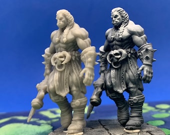 Priming Service *Add-on* (Bitte Beschreibung lesen)