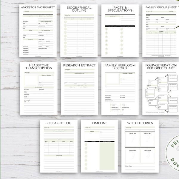 Family History Worksheet Bundle | Worksheets | PDF | Genealogy | Sage Green