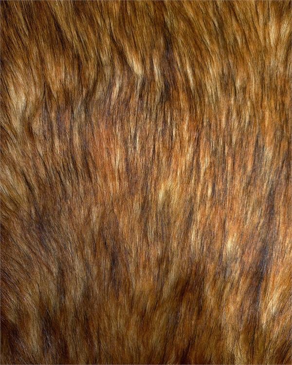 Wild Cat Fur Coat - Etsy