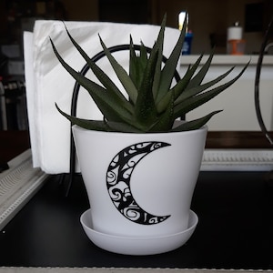 May include: A white ceramic planter with a black crescent moon design, featuring intricate details. The planter is filled with a green succulent plant.