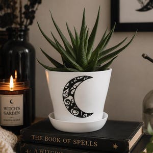 May include: A white ceramic plant pot with a black crescent moon design, holding a green succulent plant. The pot sits on a white saucer, atop two stacked books. A lit candle and a framed picture are in the background.
