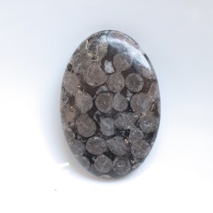 Pode incluir: Uma pedra lisa de forma oval com um padrão preto e branco. A pedra é coberta por pequenas formas circulares.