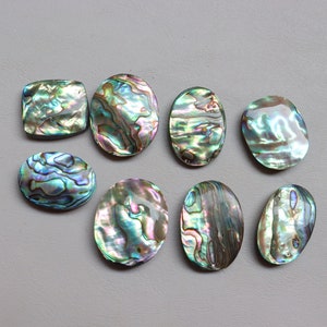 Lotto da 8 pezzi, cabochon di conchiglia di abalone, conchiglia di abalone naturale, pietra preziosa per la creazione di gioielli, pietra sciolta, pietra curativa, conchiglia di abalone n. 8040